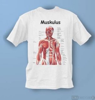 T-Shirt Muskeln