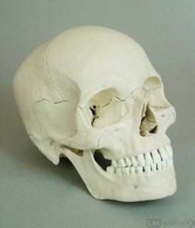 Steckschdel 18 Teile wei