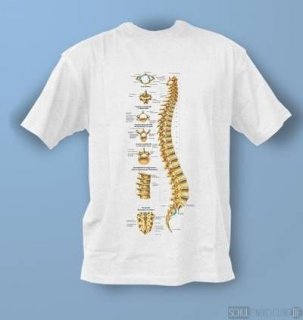T-Shirt Wirbelsule